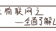 LoRa訪談錄| 這本“中國LoRa產業市場調研報告2020版”記錄了LoRa的所有秘密